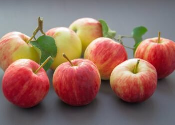 Salah Satunya untuk Jantung! Simak Manfaat Buah Apel untuk Kesehatan Tubuh