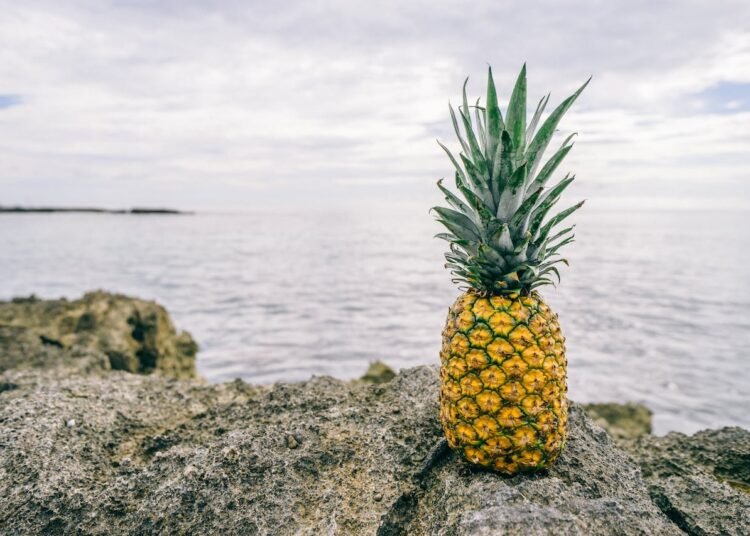 Kandungan Gizi dan Manfaat Buah Nanas untuk Kesehatan Tubuh