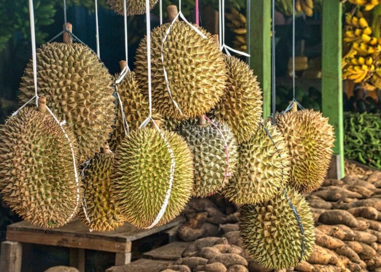 Segini Efek Jika Makan Durian Berlebihan, Ternyata Tak Baik untuk Kesehatan