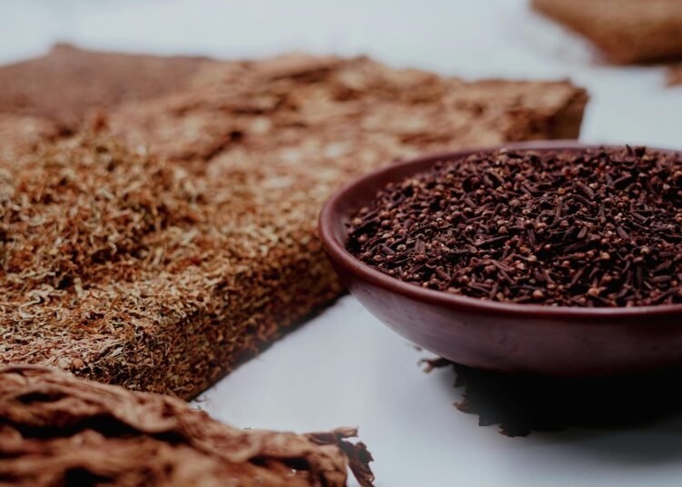 Cengkeh: Sejarah, Manfaat, dan Penggunaan