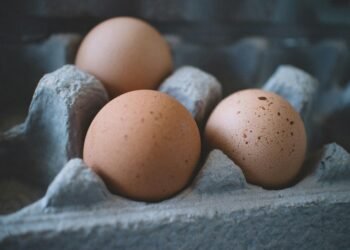 Telur Ayam (Foto:Monserrat Soldú /Pexels)